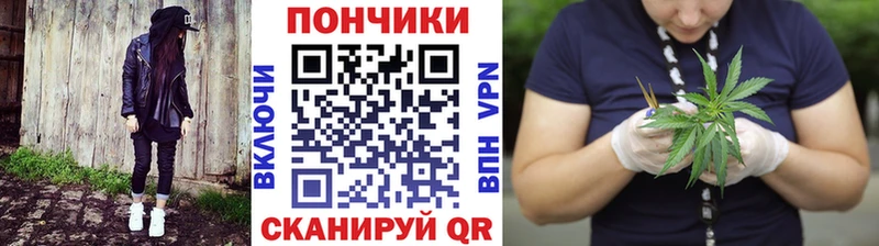Виды наркотиков купить Карачаевск Cocaine  Псилоцибиновые грибы  Амфетамин  ГАШИШ  Мефедрон  Марихуана 