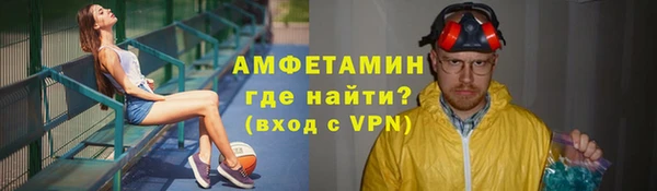 гидра Верея
