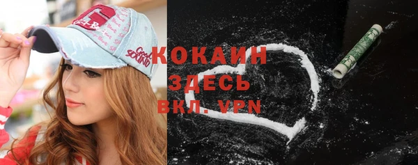 гидра Верея