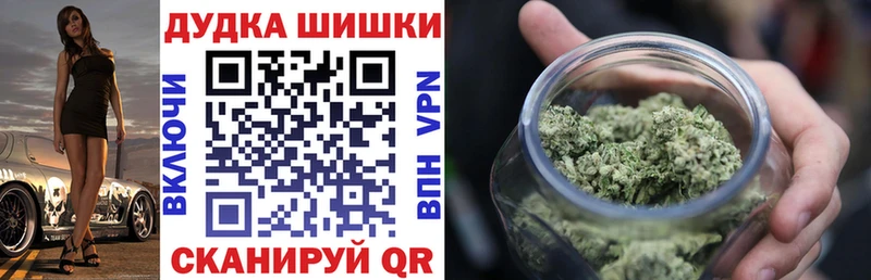 Бошки Шишки планчик  Карачаевск 